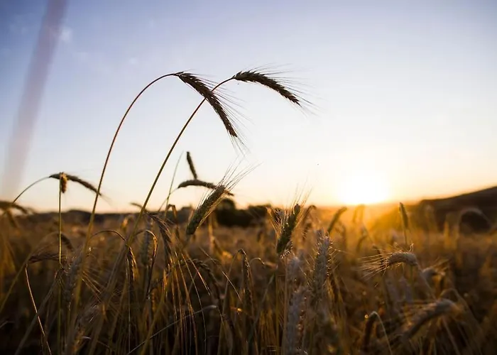 La Maison Charlelie Prázdninový dům Martrin