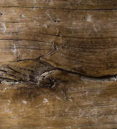 Prázdninový dům La Maison Charlelie Martrin