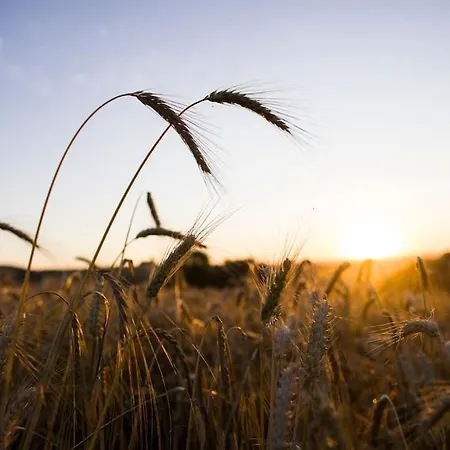 La Maison Charlelie Holiday home Martrin