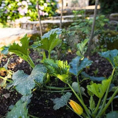 Holiday home La Maison Charlelie